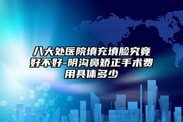 八大处医院填充填脸究竟好不好-阴沟鼻矫正手术费用具体多少