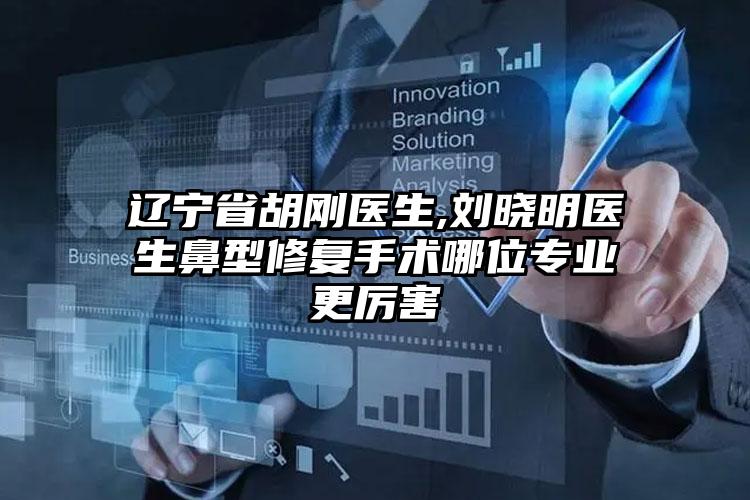 辽宁省胡刚医生,刘晓明医生鼻型修复手术哪位专业更厉害