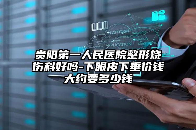 贵阳第一人民医院整形烧伤科好吗-下眼皮下垂价钱大约要多少钱