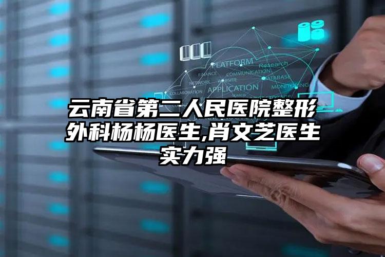 云南省第二人民医院整形外科杨杨医生,肖文芝医生实力强