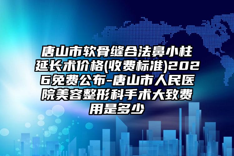 唐山市软骨缝合法鼻小柱延长术价格(收费标准)2026免费公布-唐山市人民医院美容整形科手术大致费用是多少